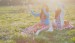 beautiful-bubbles-cute-fashion-flower-Favim.com-210582