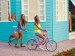 bicicle-bike-blue-colors-cute-Favim.com-204963