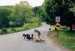 cute-friends-funny-life-Favim.com-210342